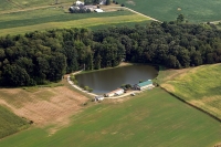 new pond along woods