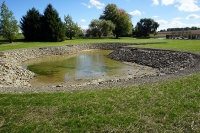 new pond construction