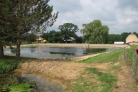 pond repair to fix leaking bank