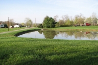 small pond repair