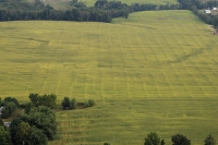 well tiled field compared to field needing tiling