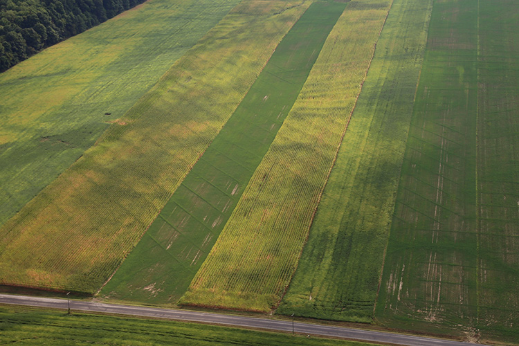 field drainage by Orr construction of apple creek Ohio