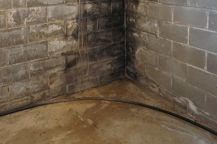 wet basement repair by Orr construction apple creek Ohio